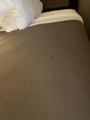 Bedspread stains