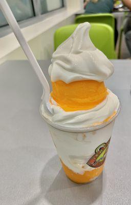 Orange and Vanilla Gelati