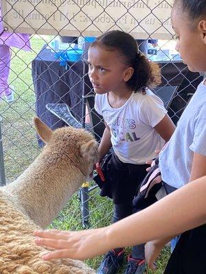 The girls are animal lovers and so enjoyed the petting zoo!