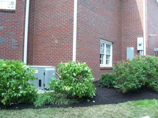 20kW GE Home Generator nestled in the landscape