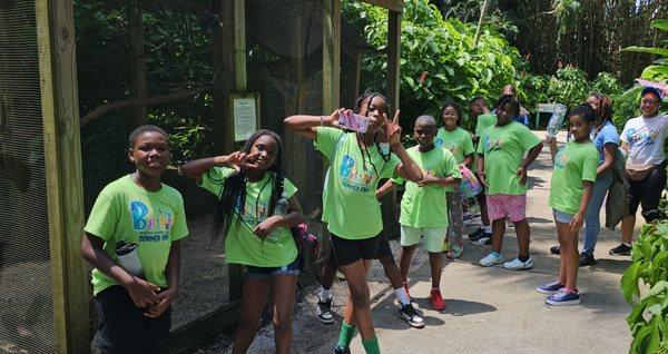 Field trip at flamingo gardens