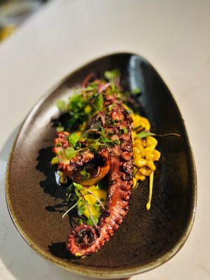 Our octopus - tender and delicious