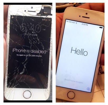 iPhone 5 Series screen repair for only $59