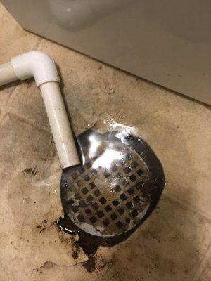 Clogged laundry drain