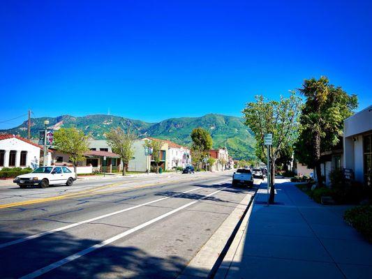 Views of the historic district