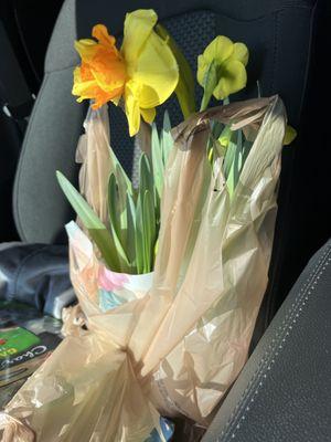 Daffodils for gramma