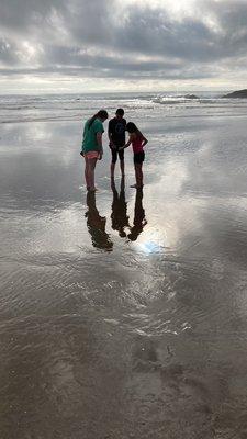 Kids in the beach