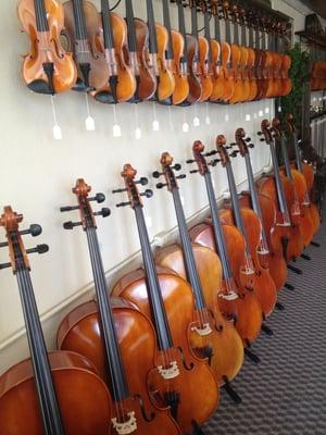 Large selection of fine cellos at Tulsa Strings Violin Shop