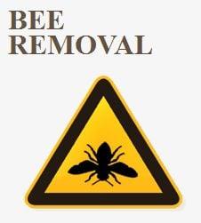 bee removal, bee exterminators in, bee hive removal, termite control, pigeon control