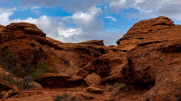 Red Cliffs Desert Reserve