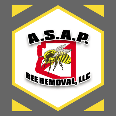 asapbeeremoval.com