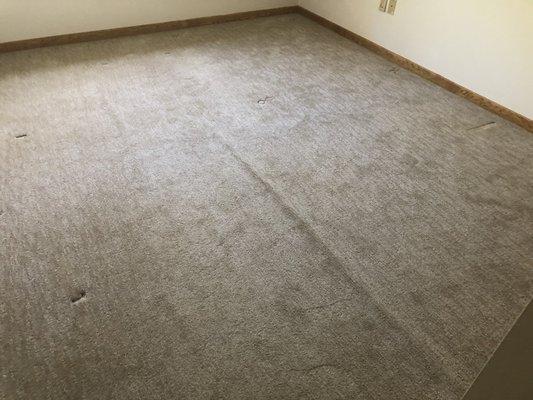 Restretch Carpet