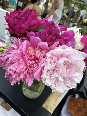 Indiana Peony Festival