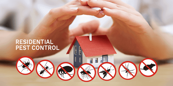 Budget Pest Control, Inc.