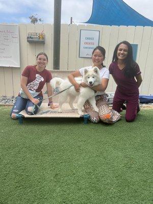 The amazing trainers and our puppy