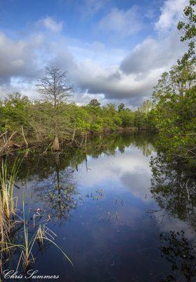 Lots of spots for fishing