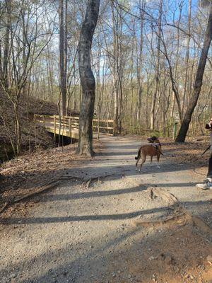 On the trail