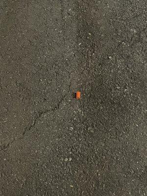 needle cap in parking lot