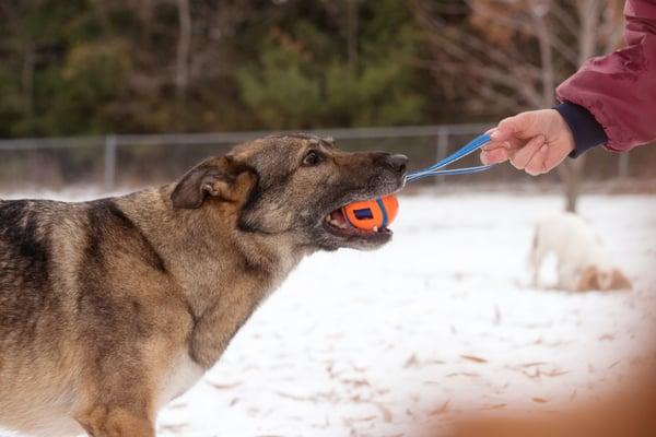 Playing and training go together.