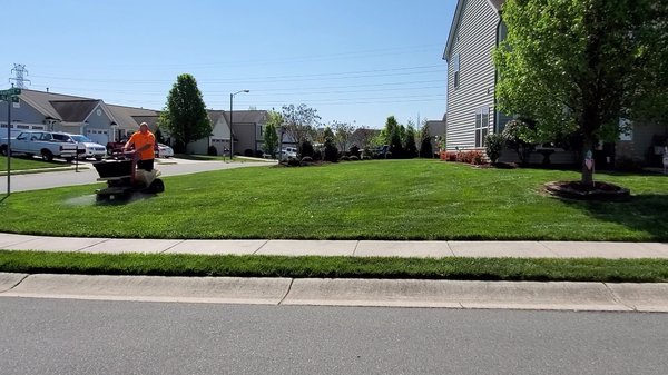 We specialize in lawn treatments for weed & disease control.