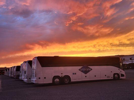 Full fleet of modern bus rentals in Tucson Arizona. Plan your next group outing with our private bus charters for any occasion!