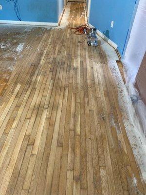 First glance at What Lies Beneath-previous owner choices with hardwood-the paint and color evened out well with sanding.