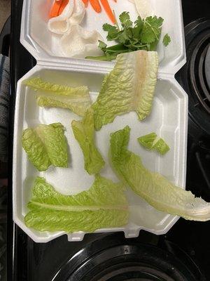 Pathetic...this is what they consider "lettuce wraps". Sadly, the often skimp on portions and give inferior product on their to-go orders.