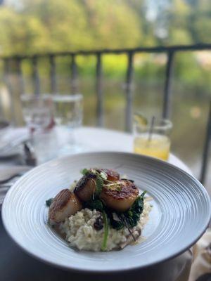 Pan - Seared New Bedford Day Boat Scallops