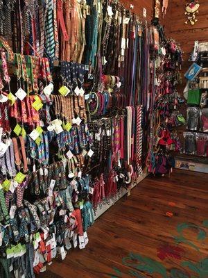 Huge selection of leashes, collars, harnesses