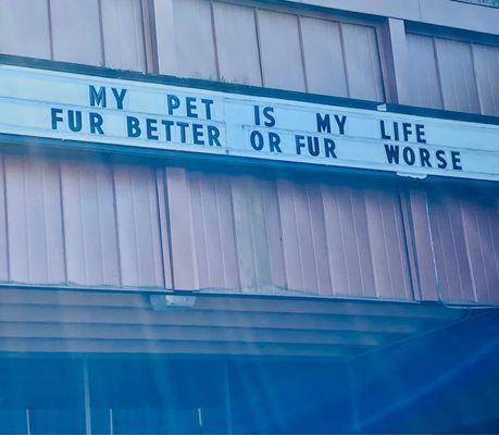 My Pet is my Life Fur Better or Fur Worse