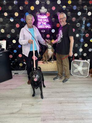 Shipley and Alice in the disco lounge entrance at Tails Agogo.