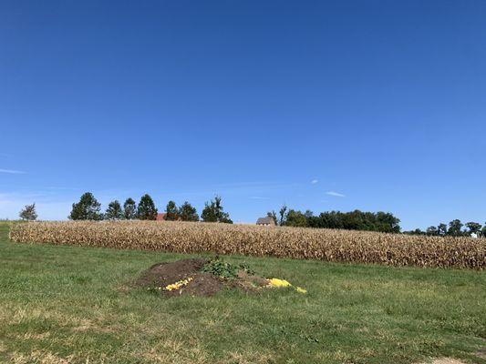 Behind the "farmhouse"