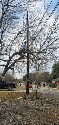 Adam's Lawn Service - Austin