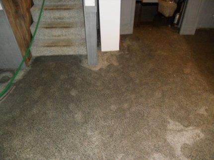 Sewage and sump pump