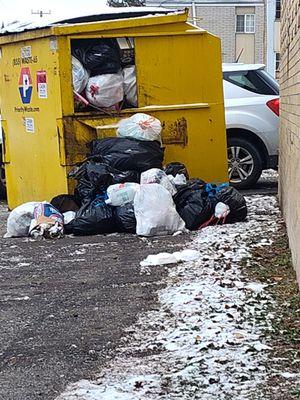 The dumpster always looks like this. Maintenance told me they don't pay the bill on time.