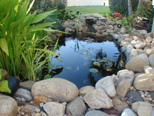 Pond Installation with Landscaping & Lights