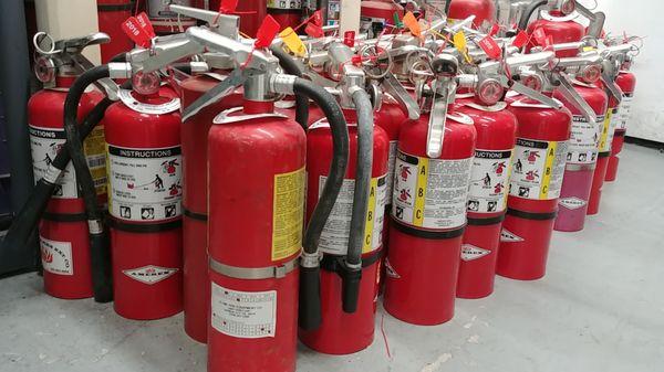 Fire Extinguishers that are ready for their annual certification