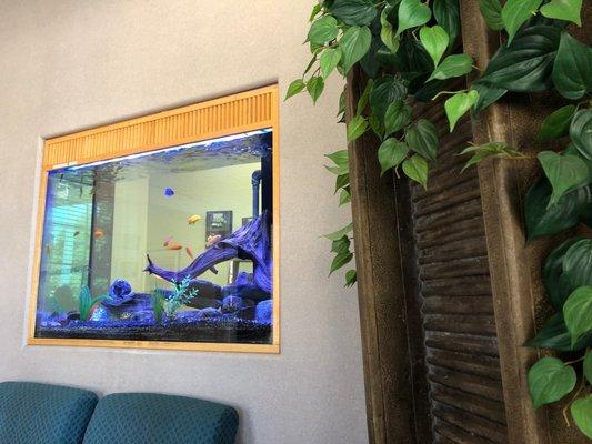 Their soothing fish tank in their lobby.