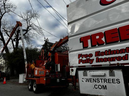 tree pruning underway