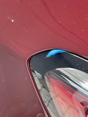 Brush stuck in tail light