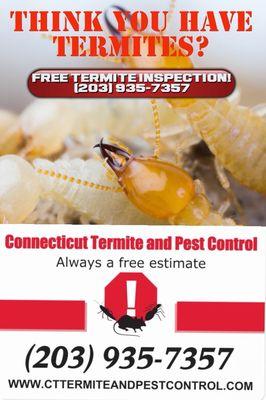 Connecticut Termite and Pest Control free Termite inspection