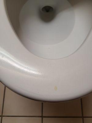 Urine on seat