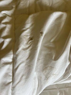 More filthy comforter which gave me the creeps all night.