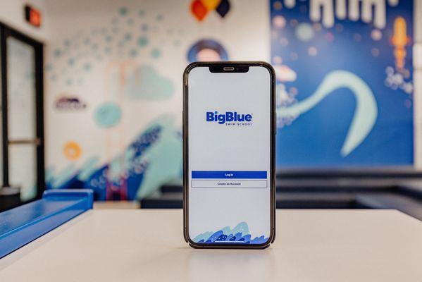 Manage schedules and track progress within the Big Blue App