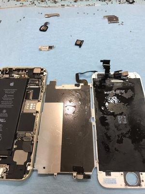 iPhone 6 Water Damage Repair