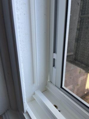 Window not correct sizr