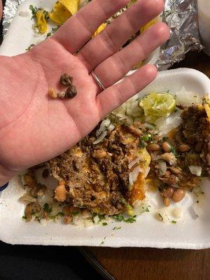 Found rocks in my tacos ,very upset