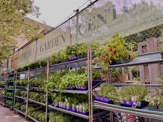 Chelsea Garden Center