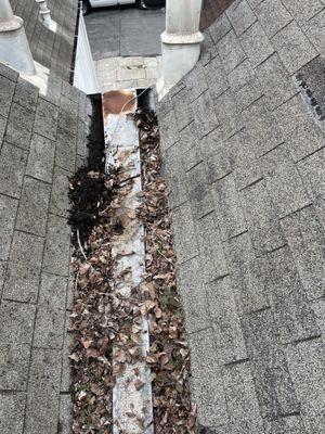 Gutter cleaning