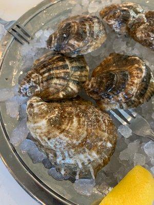 Their beautiful salty sugar shack oysters were phenomenal